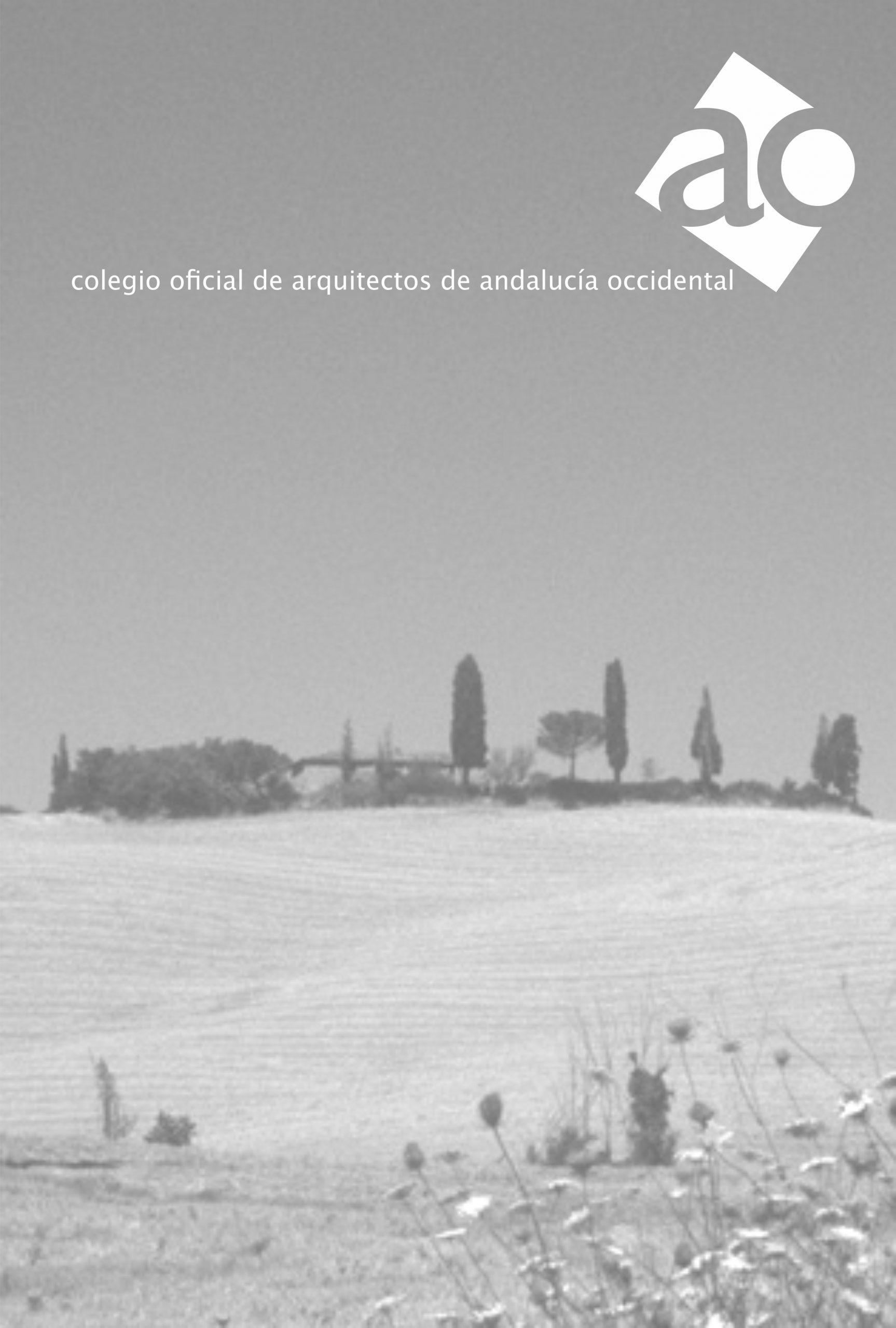 Revista COAAO